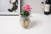 Modern and simple lace diamond-shaped transparent glass vase, countertop, dining table, bedside table ornament Application Scenario